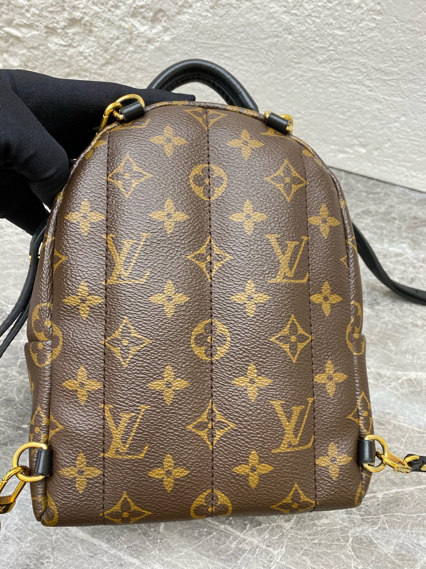 Louis Vuitton Backpack