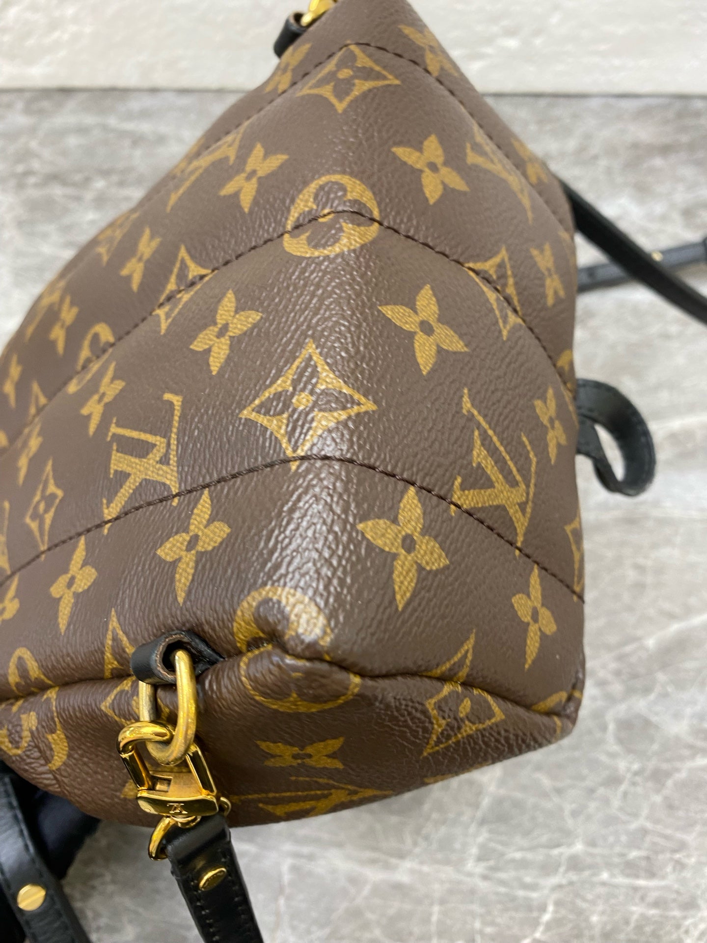 Louis Vuitton Backpack