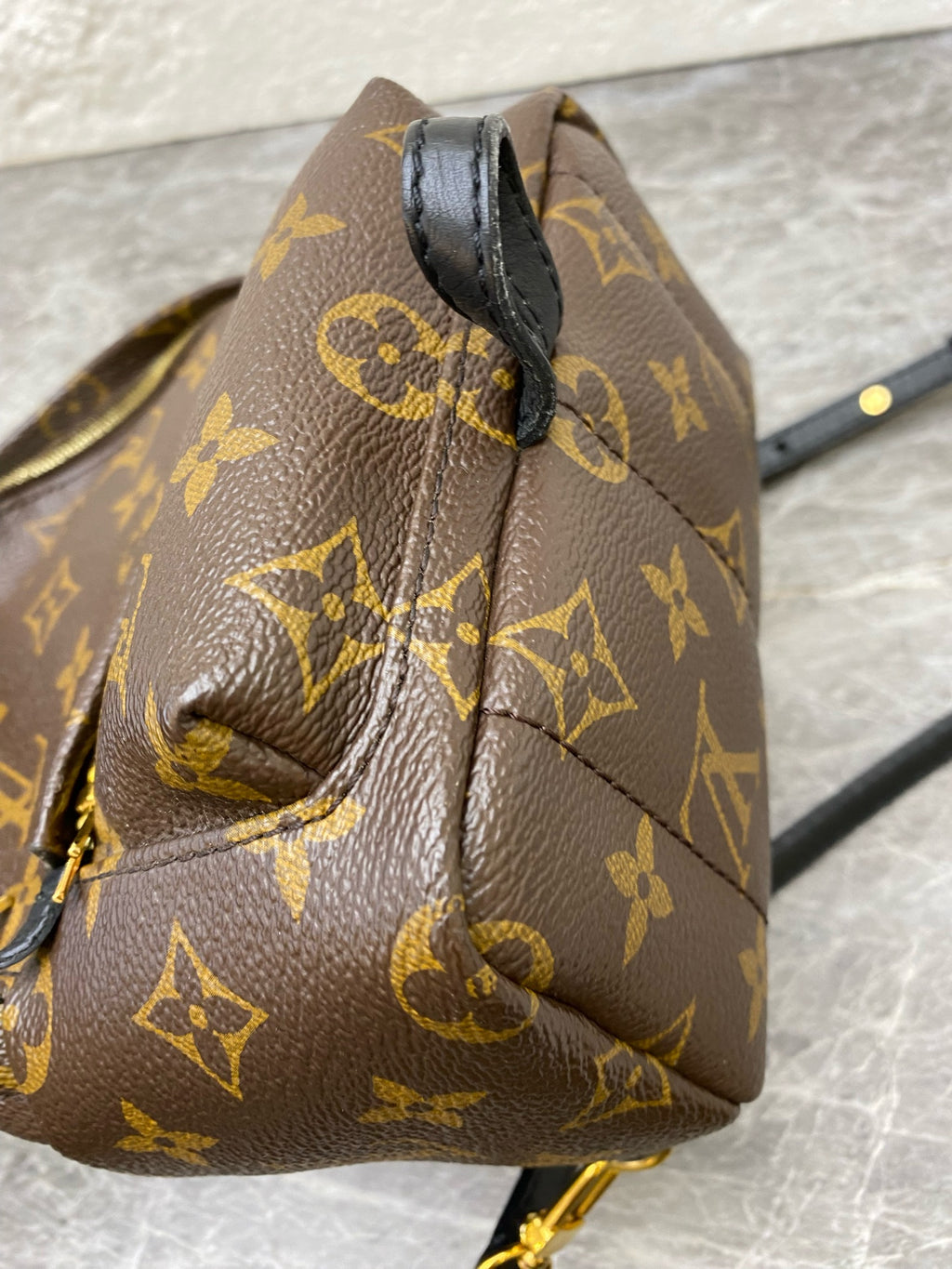 Louis Vuitton Backpack