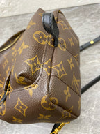 Louis Vuitton Backpack