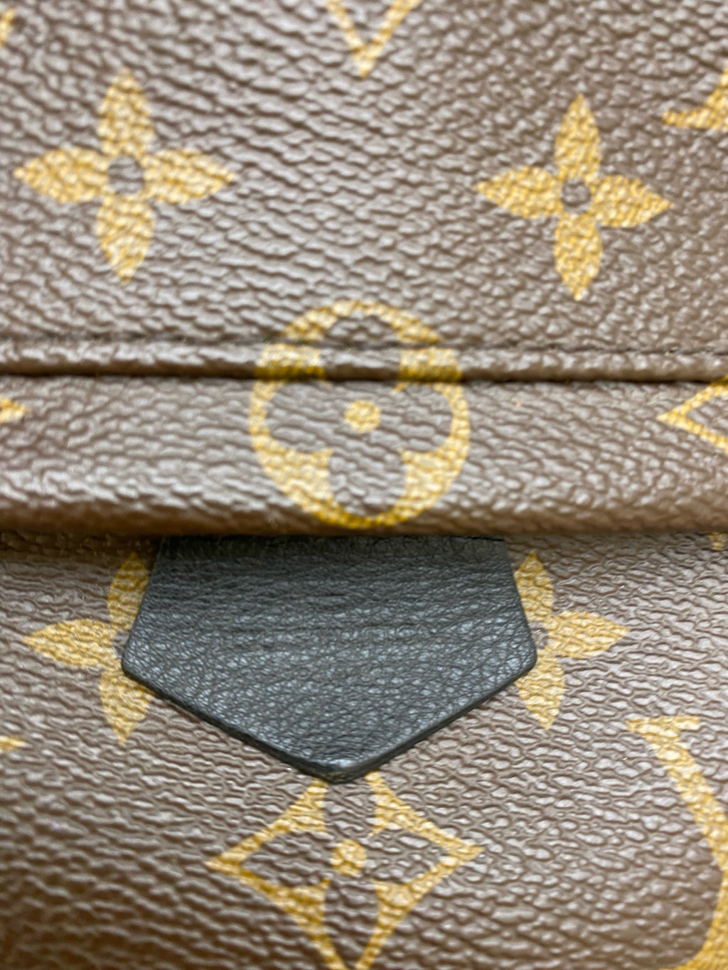 Louis Vuitton Backpack