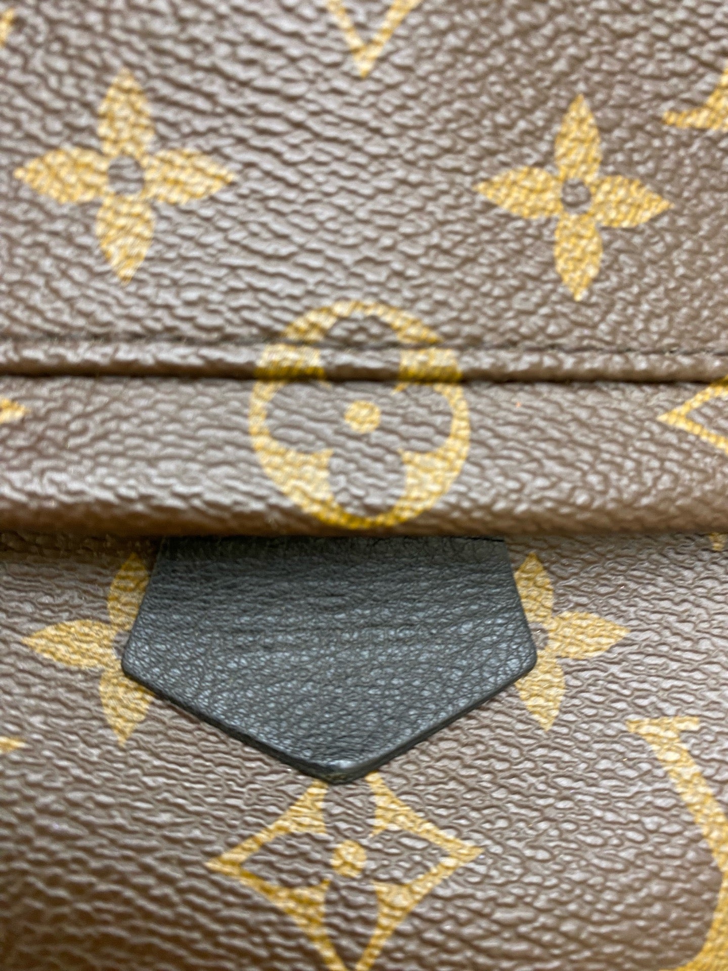 Louis Vuitton Backpack