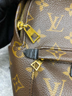 Louis Vuitton Backpack