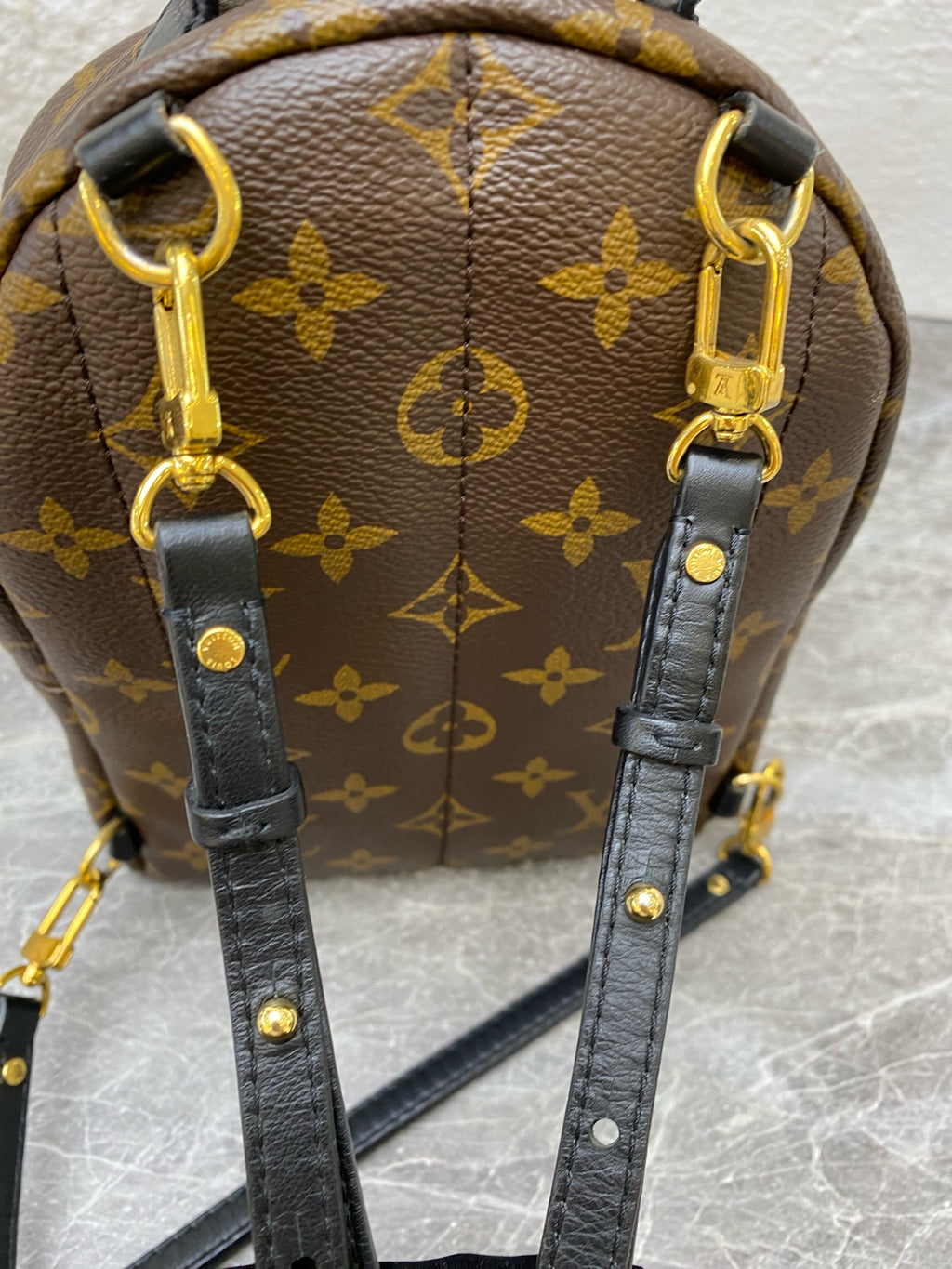Louis Vuitton Backpack