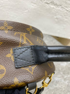 Louis Vuitton Backpack