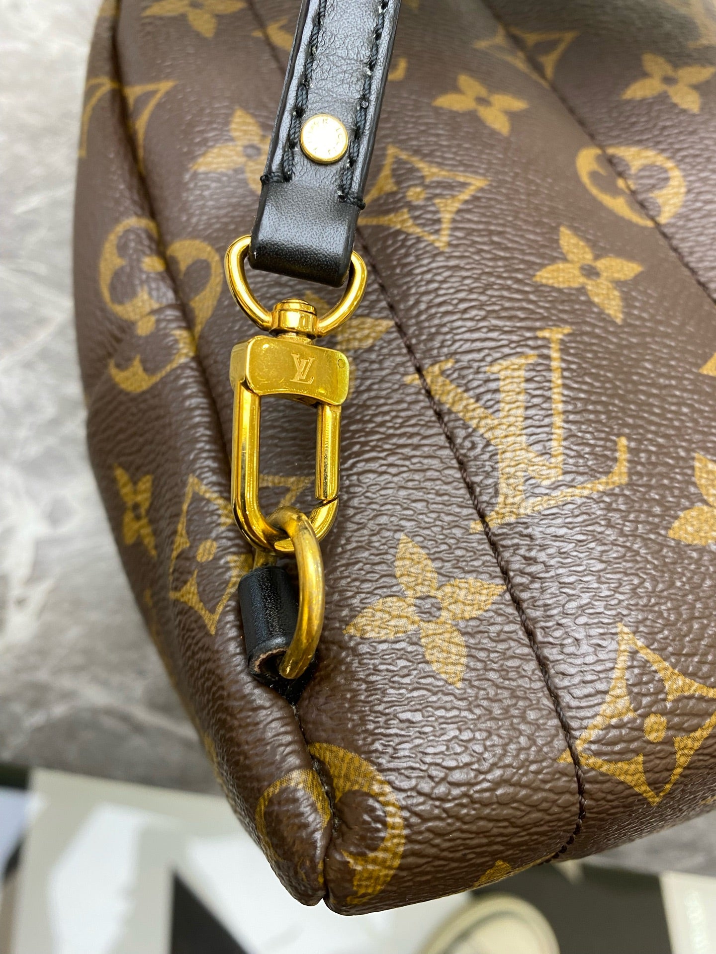 Louis Vuitton Backpack