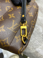 Louis Vuitton Backpack