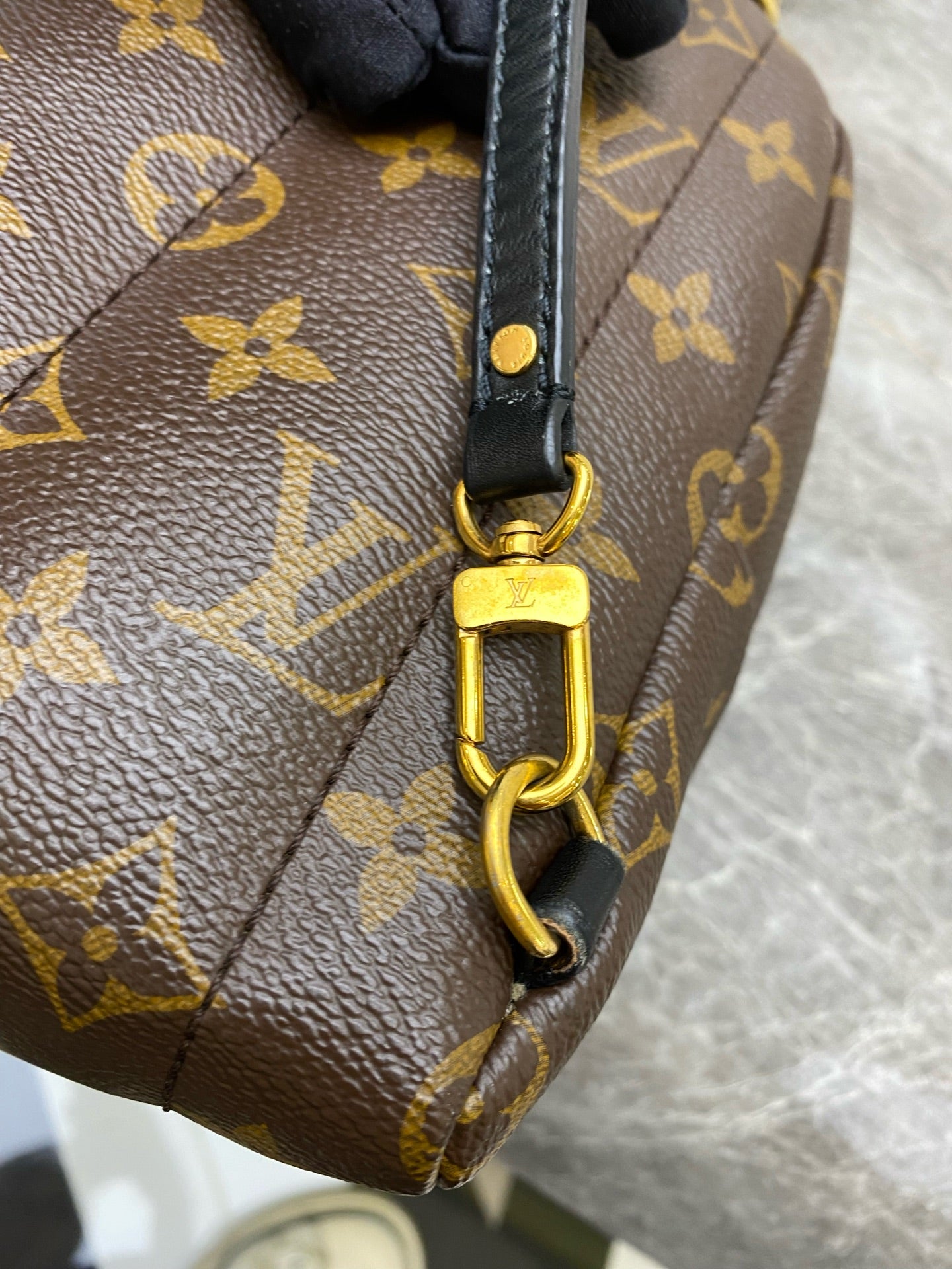 Louis Vuitton Backpack
