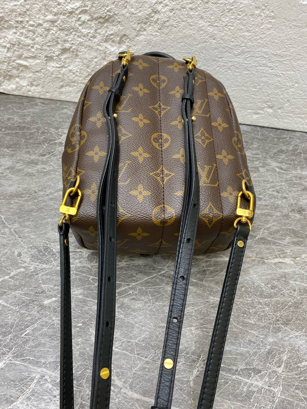 Louis Vuitton Backpack