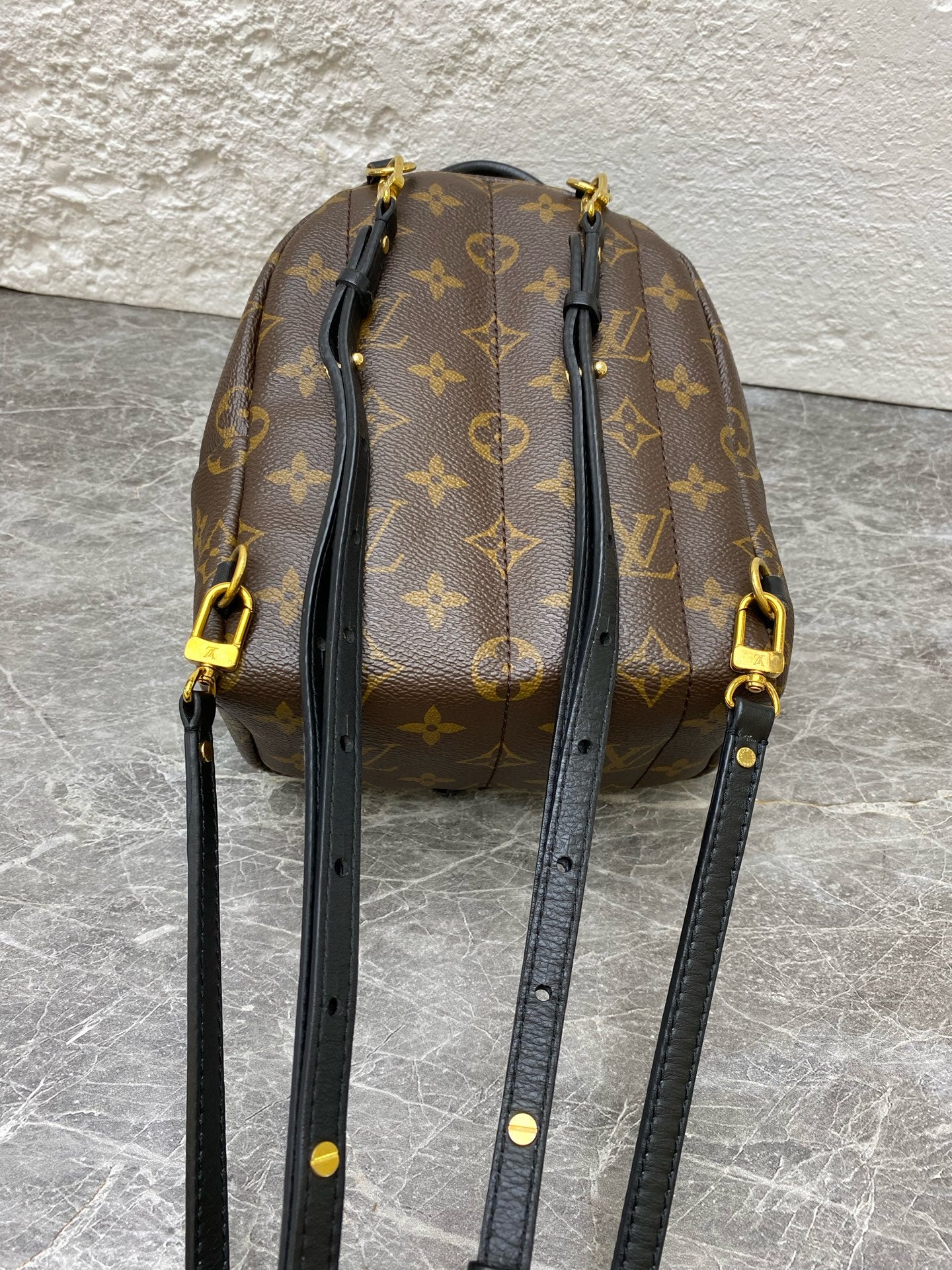 Louis Vuitton Backpack