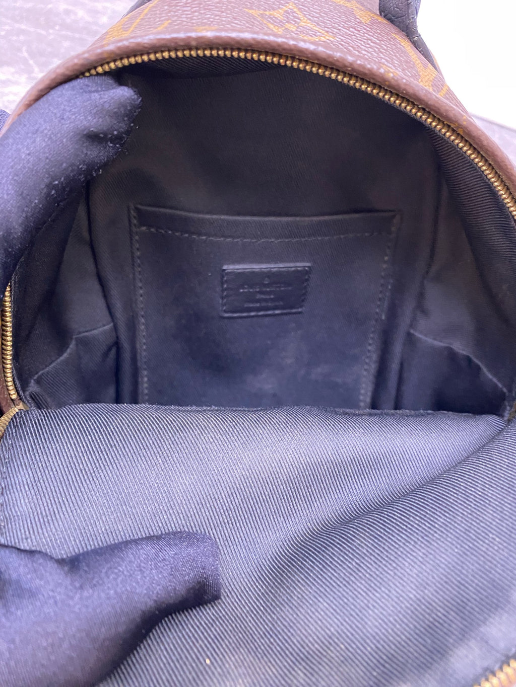 Louis Vuitton Backpack