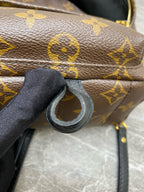 Louis Vuitton Backpack
