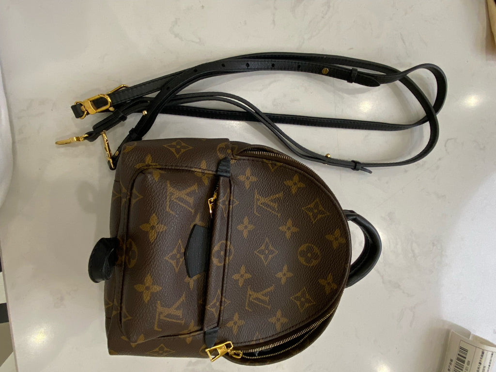 Louis Vuitton Backpack