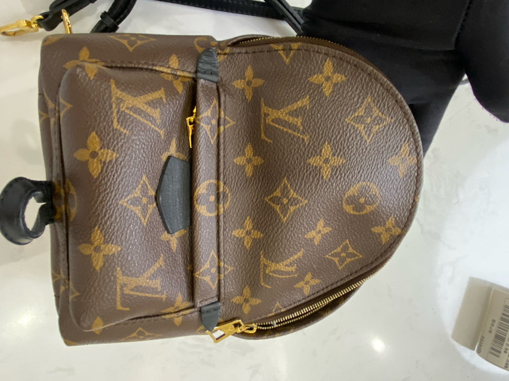 Louis Vuitton Backpack