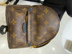 Louis Vuitton Backpack