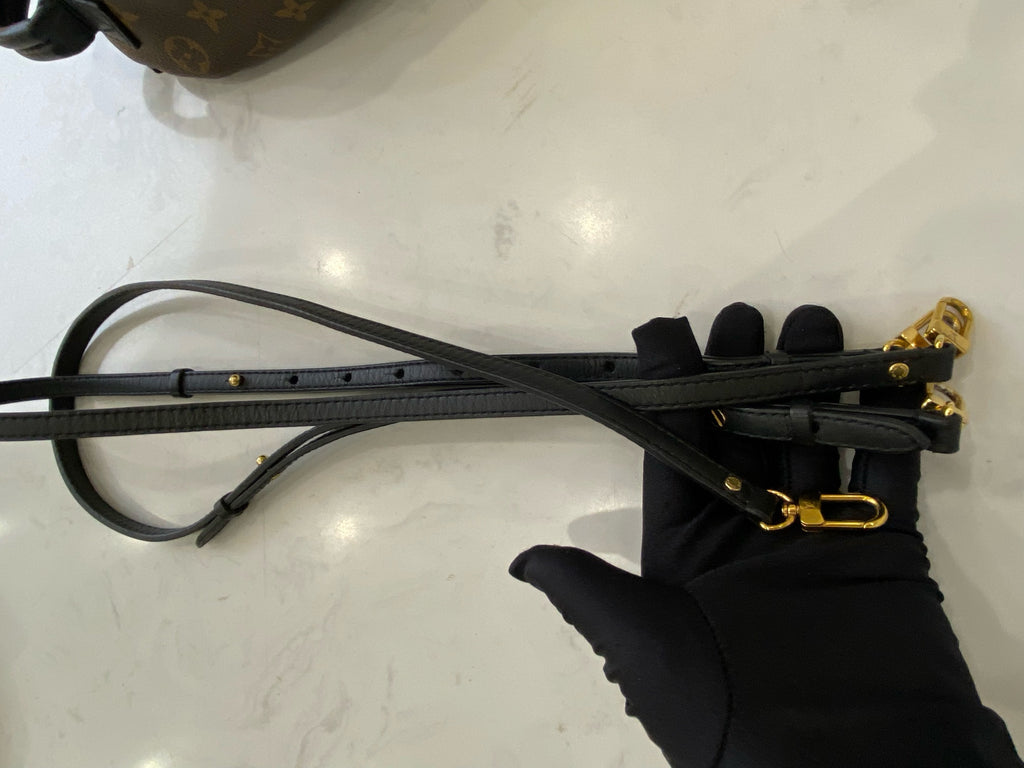 Louis Vuitton Backpack