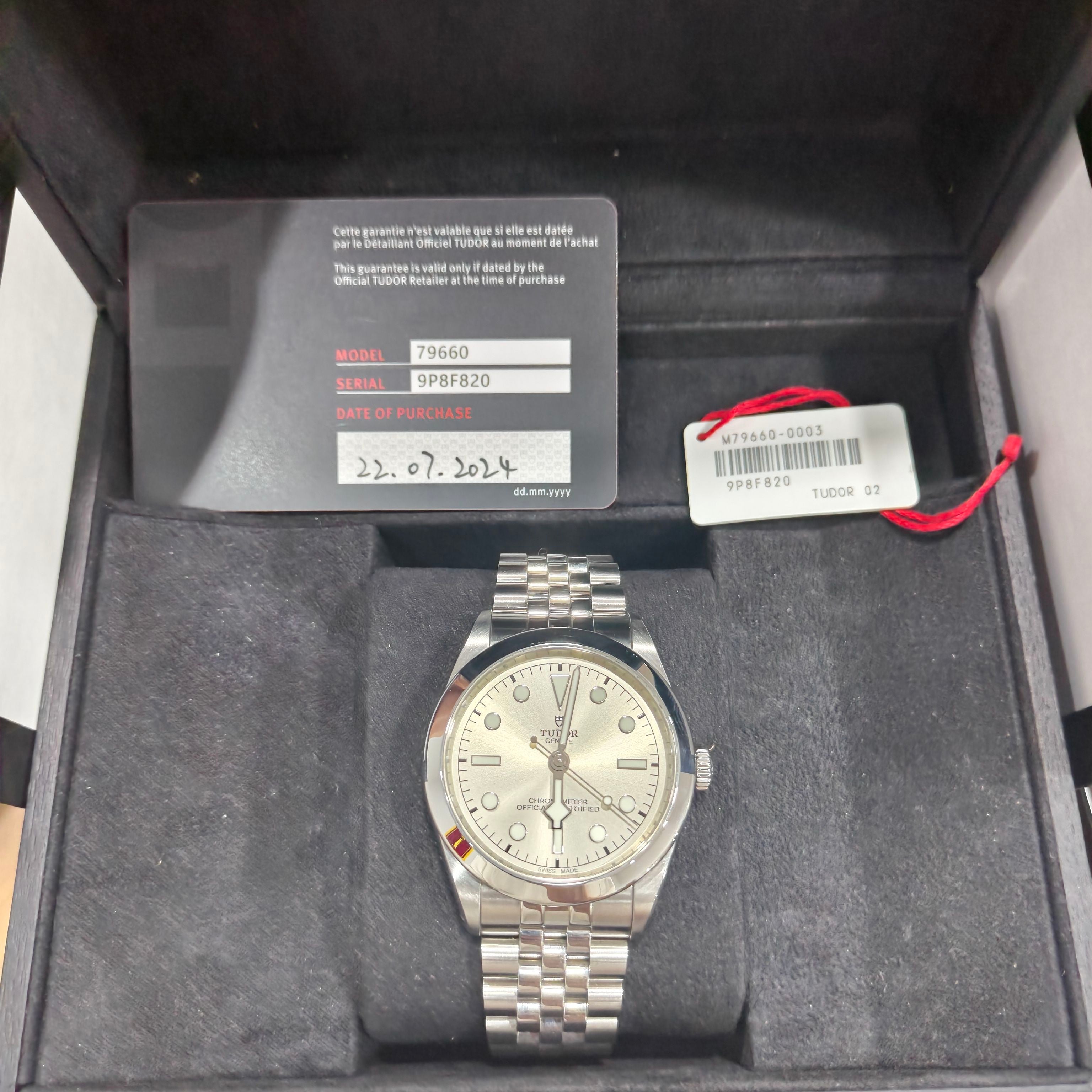 Tudor Biyuan Style 39 39 millimeters m79660-0003