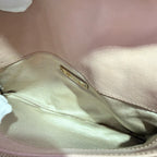 Miu Miu Pink Crossbody