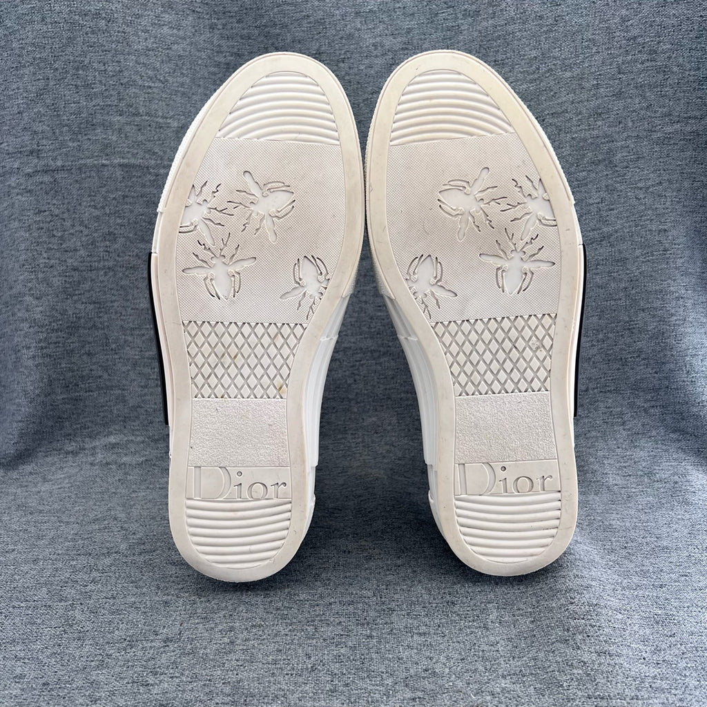 Dior Canvas