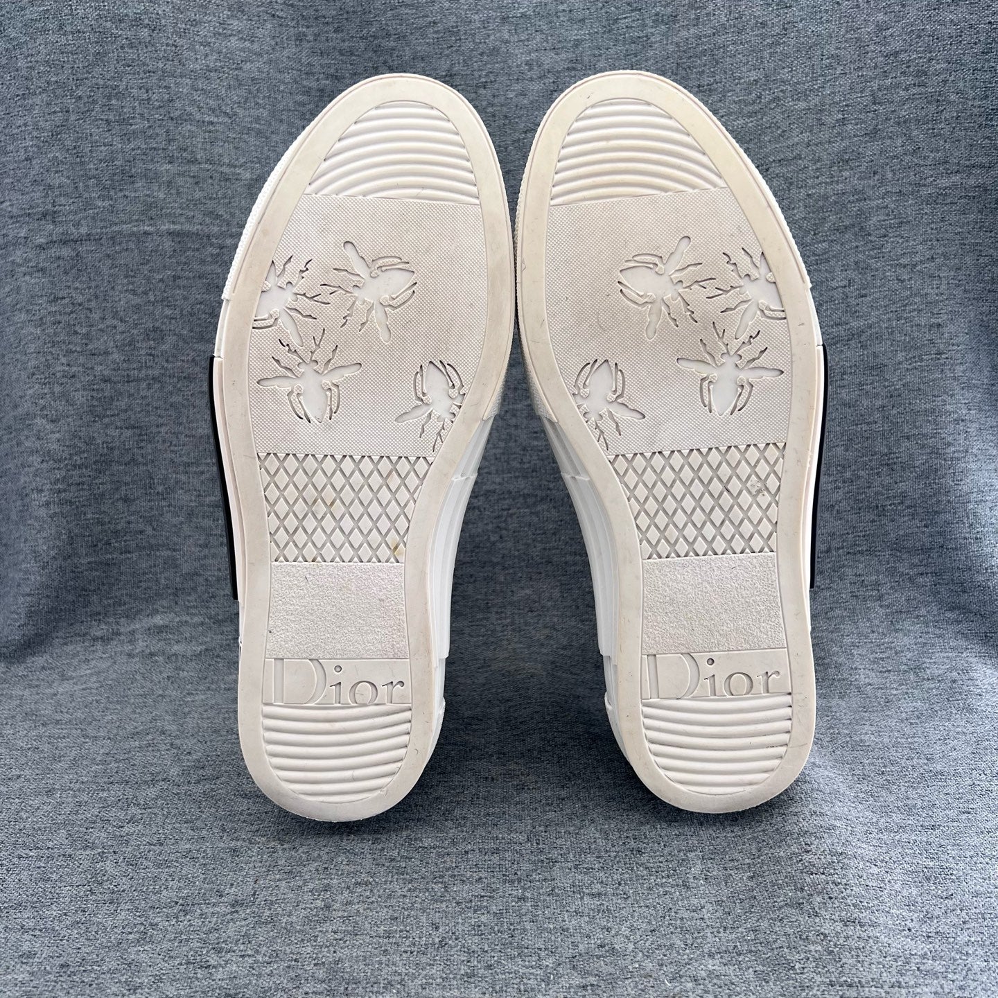 Dior Canvas