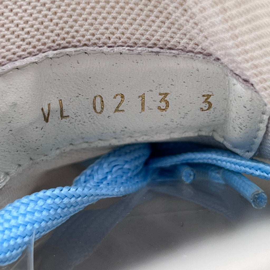 Louis Vuitton Skate shoes