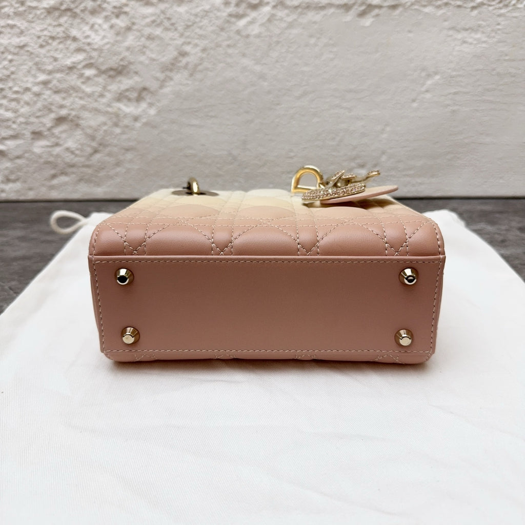 Dior Crossbody