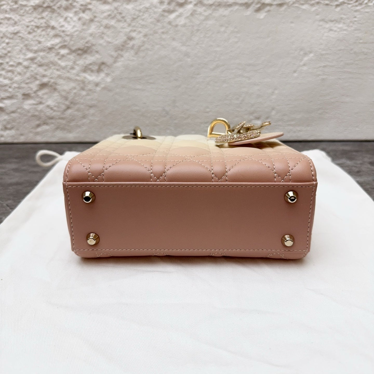 Dior Crossbody