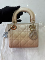 Dior Crossbody