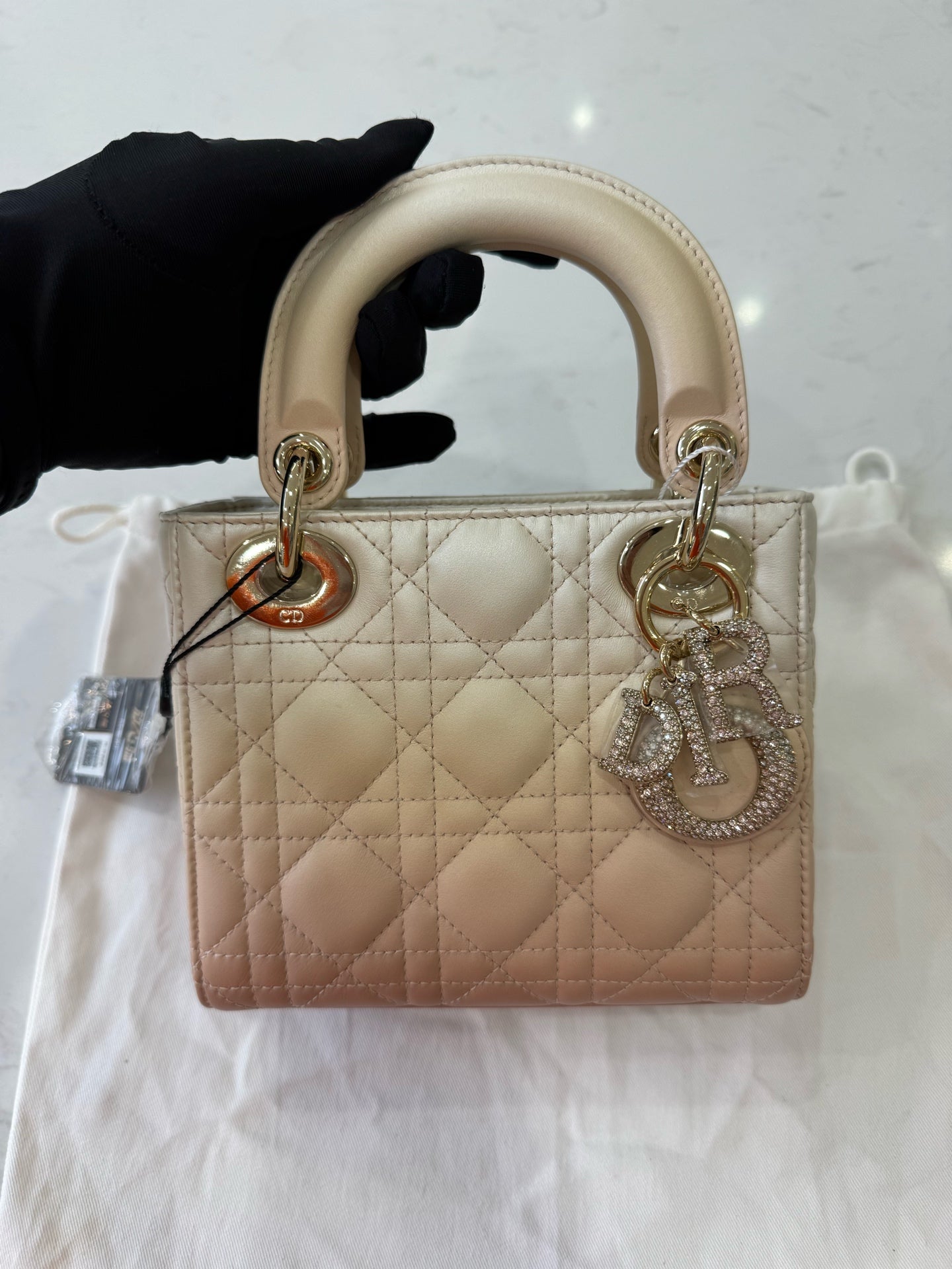 Dior Crossbody