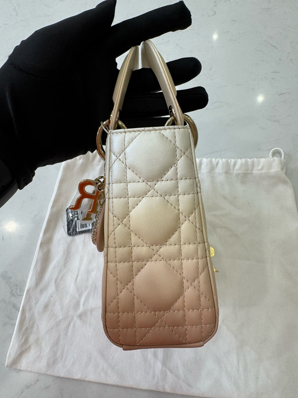 Dior Crossbody