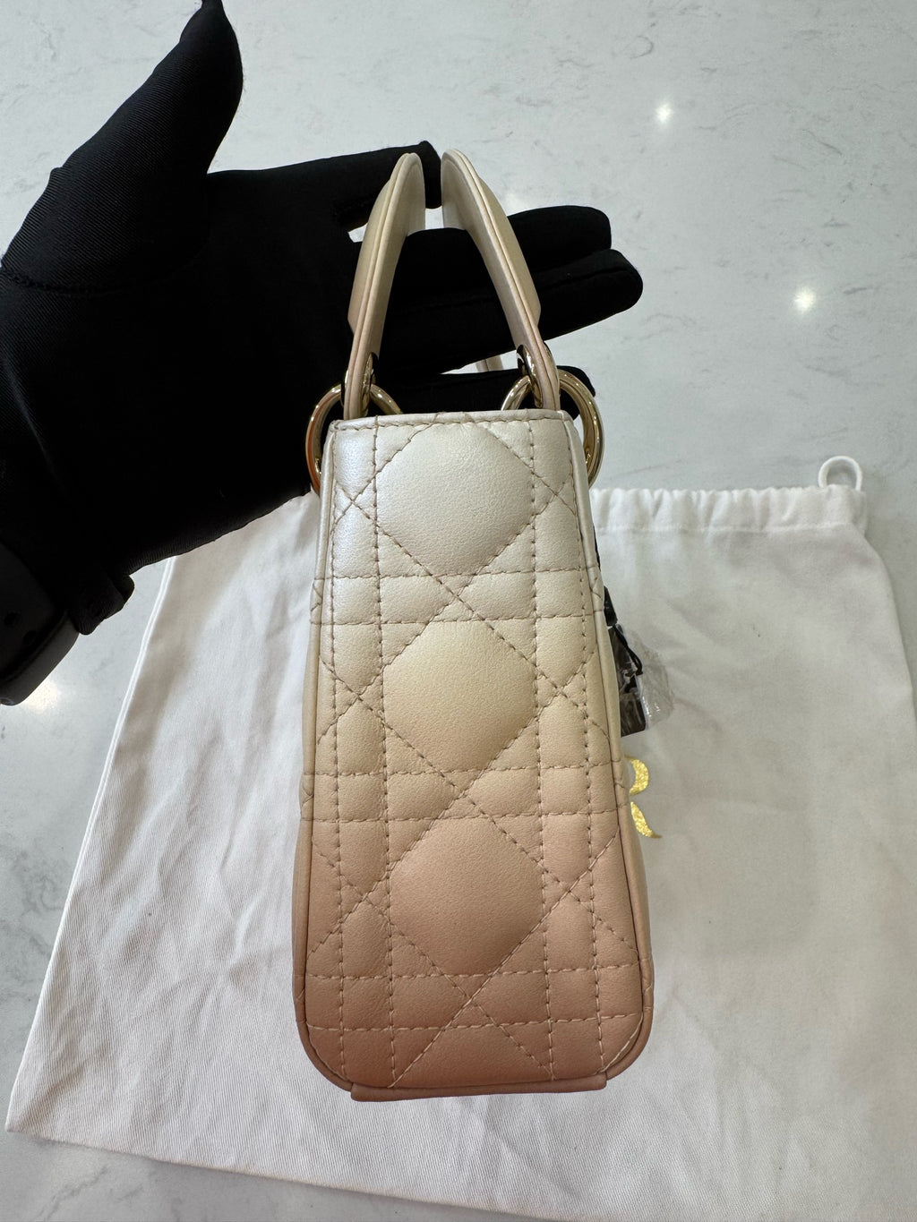Dior Crossbody