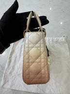 Dior Crossbody