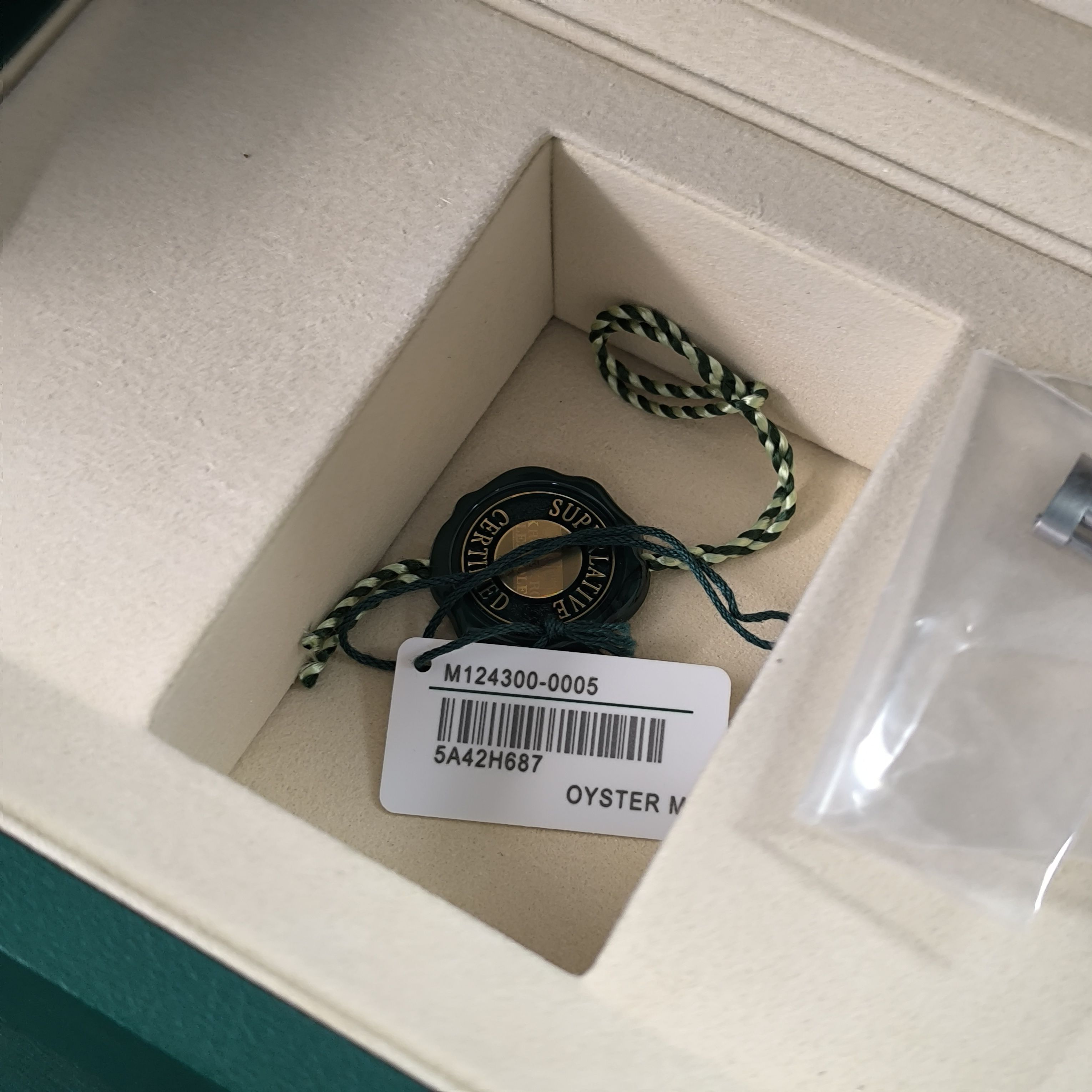 Rolex Oyster Perpetual model 41 millimeters m124300-0005