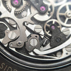 Omega Superba Series 44.25 311.92.44.30.01.001