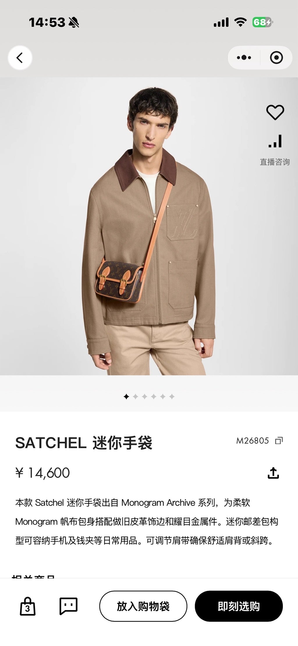 Louis Vuitton Messenger Bag