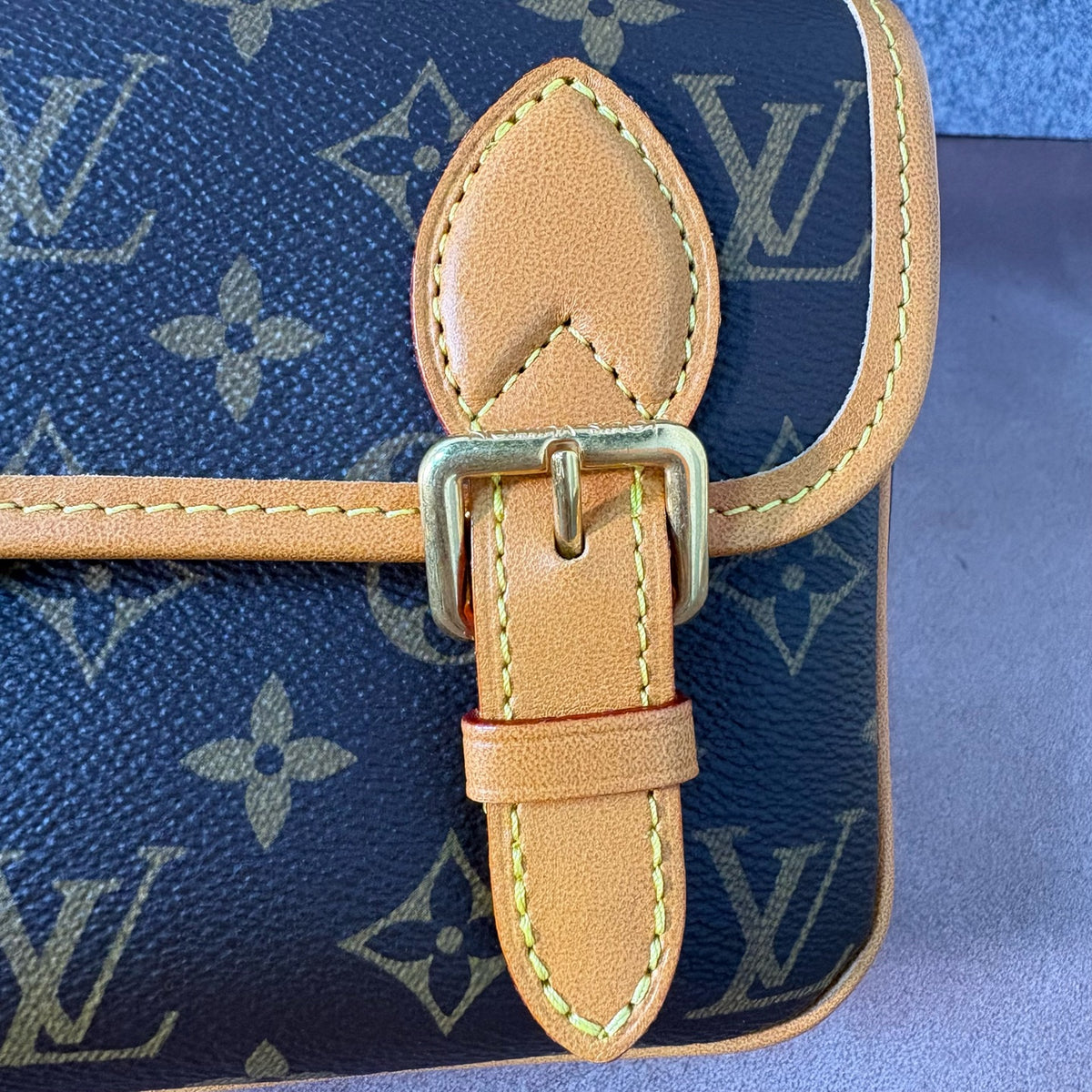 Louis Vuitton Messenger Bag