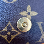 Louis Vuitton Messenger Bag