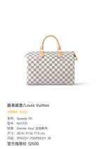 Louis Vuitton Speedy 30 Satchel 30.0x 21.0x 17.0 cm N41370