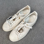 Louis Vuitton Skate shoes