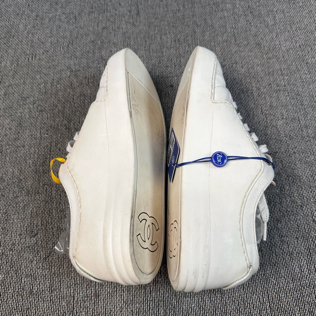 Burberry Skate shoes