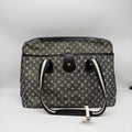 Louis Vuitton M43717