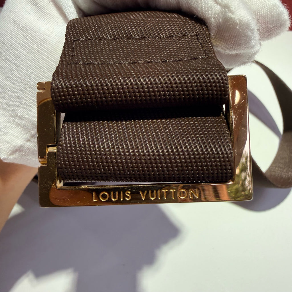 Louis Vuitton Brown Sling Bag