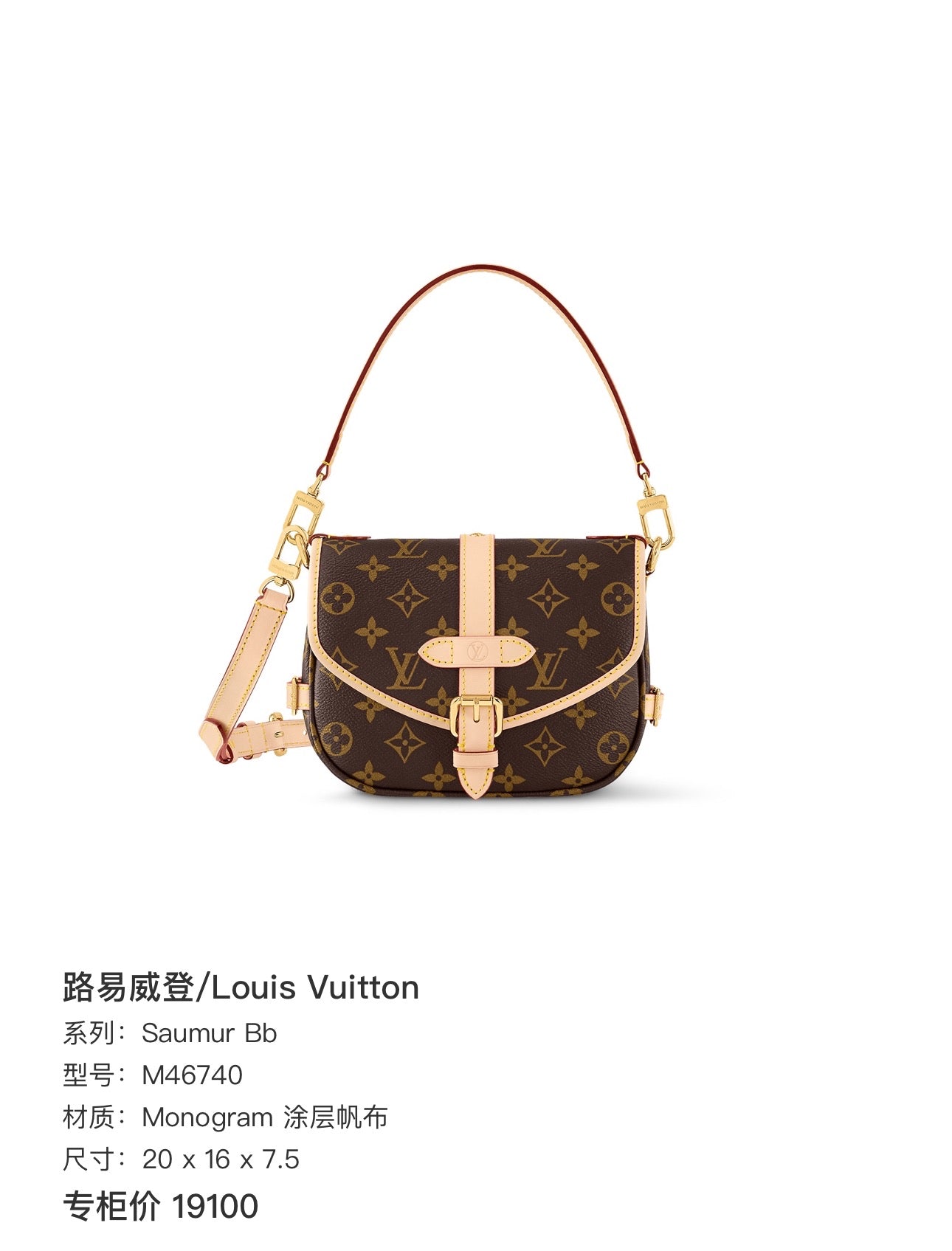Louis Vuitton Satchel