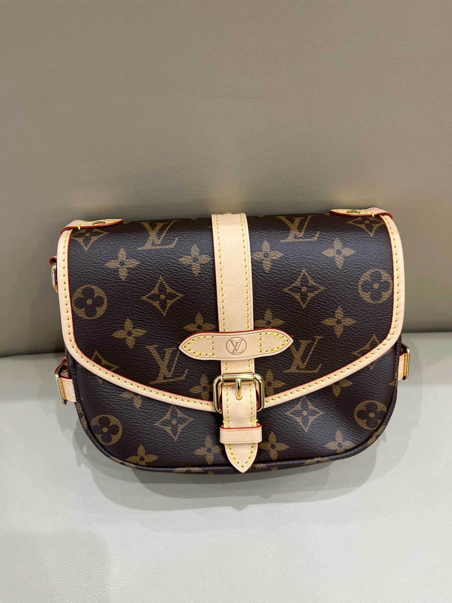 Louis Vuitton Satchel