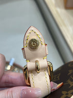 Louis Vuitton Satchel