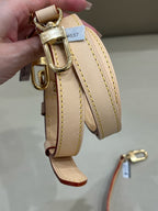 Louis Vuitton Satchel