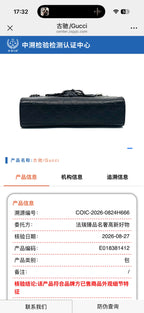 Gucci Black Crossbody