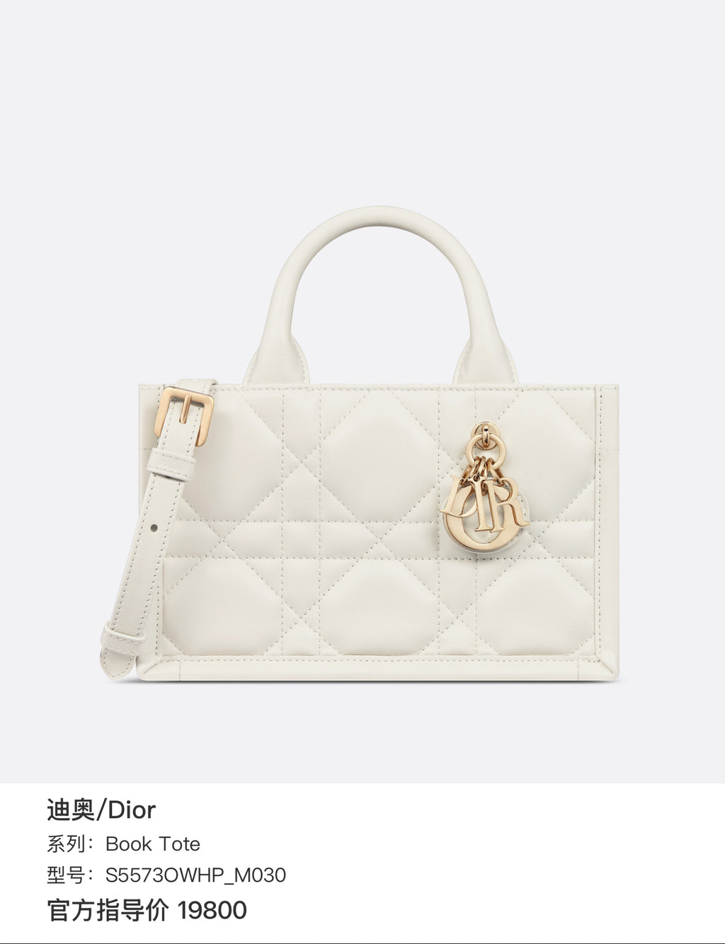 Dior Book Tote S5573OWHP_M030