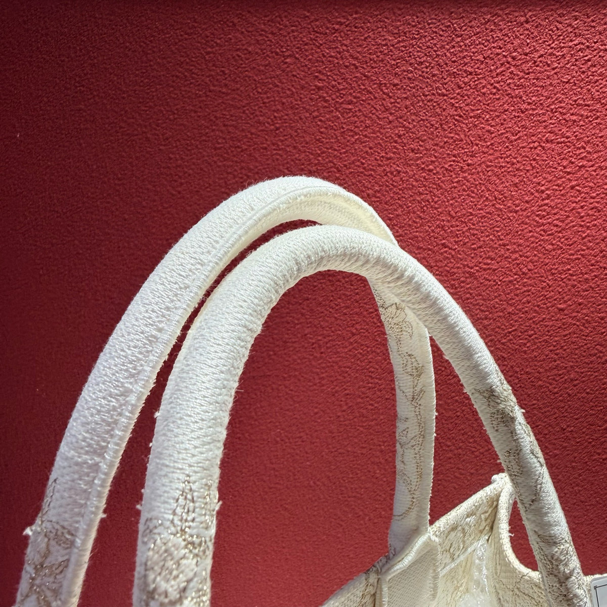 Dior Tote M1296ZRZF_M981