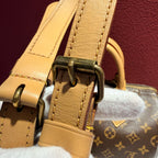 Louis Vuitton Speedy 25 Crossbody 25.0x 19.0x 15.0 cm M41113